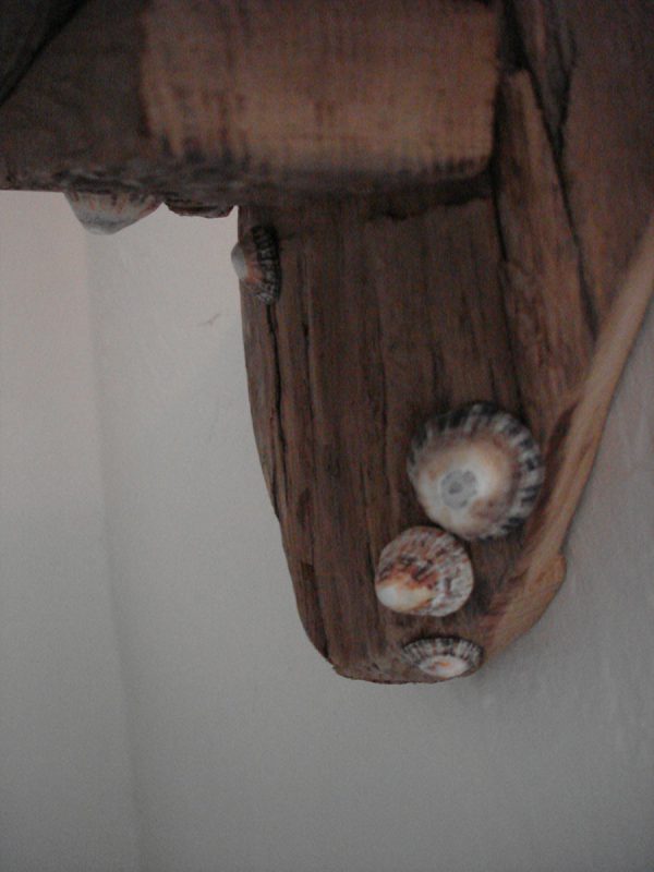 Driftwood and Shell Wall Candle Sconce - Image 4
